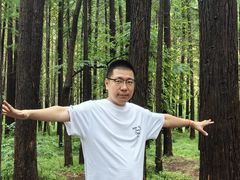 -日照海滨国家森林公园