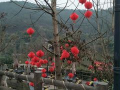 -楠柏弯休闲山庄(梨花溪店)