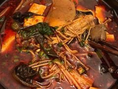 -海底捞火锅(高科广场店)