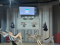 -运动派(北京店)