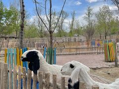 -水上乐园·欢乐世界