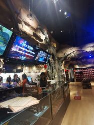 -探洞工场(丰科万达旗舰店)