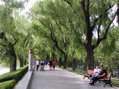 -长春市南湖公园