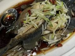-福来齐·鲁菜海鲜·渔家菜(朝阳街分店)
