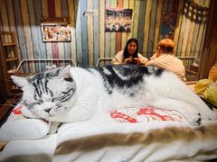 -小时光咖啡馆(开森度假森林店)