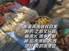 -清西陵