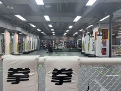 -拳力汇散打搏击泰拳俱乐部(绿地缤纷城店)