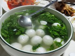 -丁老爷子苏香圆