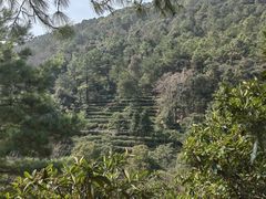 -九龙潭景区