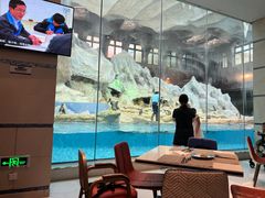 -帝企鹅自助餐厅•儿童岛•真企鹅(长隆企鹅酒店)