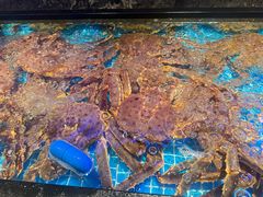 -忆江南·临江鱼馆