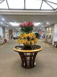 -北京明德医院·医疗美容