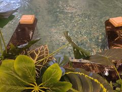 -水之梦(黄浦店)