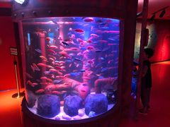 -沈阳海洋探索中心