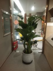 -FineYoga梵音瑜伽·普拉提