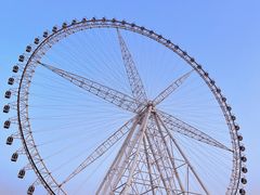 -祥源·阜阳生态乐园