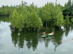 -青龙湖公园