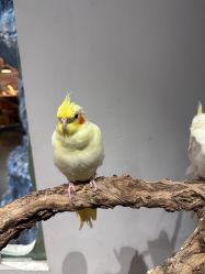 -Zoolung Zoolung动物主题公园(海信广场店)