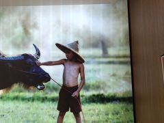 -湘邻呷铺·田园家宴(汉基广场店)