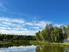 -东郊湿地公园