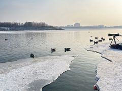 -沈阳鸟岛