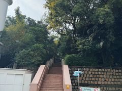 -九龙公园