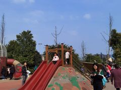 -枫香湖儿童公园