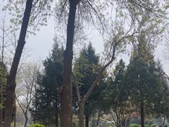 -方庄体育公园