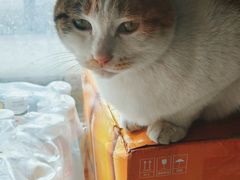 -小程烧饼店(象山北路肖公庙巷店)