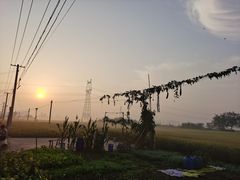 -红灯笼大酒楼(通湖路店)