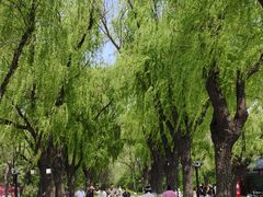 -北陵公园