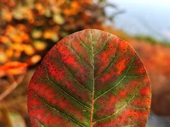 -北京西山国家森林公园