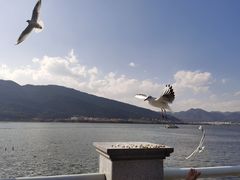 -海埂大坝