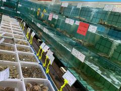 -海岛渔村大酒店(云霄路店)