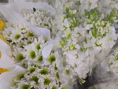 -循礼门鲜花花市(武汉循礼门店)