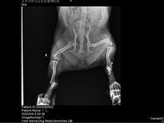 -狗舍宠物医院(四季商业广场店)