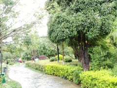 -洛龙公园