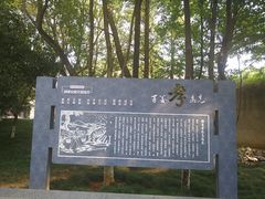 -孝子祠公园