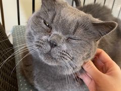 -Rabbit Cafe私房西餐甜点咖啡(栖霞路店)