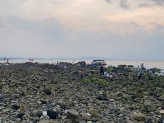 -养马岛旅游度假区