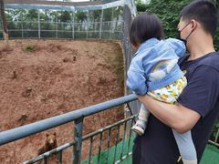 -安徽大青山野生动物世界