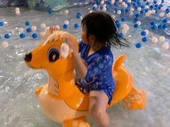 -南宫温泉水世界