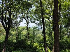 -沂蒙山旅游区云蒙景区(蒙山国家森林公园)
