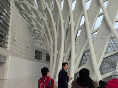 -凤凰中心