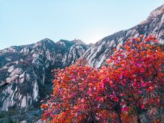 -北京凤凰岭