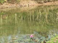 -白沙门生态公园