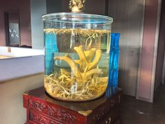 -巧婆婆特色东北菜·铁锅炖