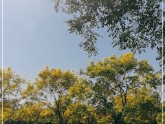-北京鹿世界主题园