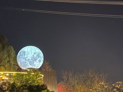 -巴倒烫陆派重庆火锅(南山店)