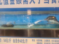 -舒来喜鱼锅(伊河路店)